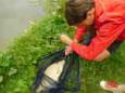 Roefelen 2017 (36)