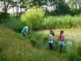 Visles Middelbeers 10-07-2017 075