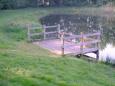 M5110051 (Small) (Small)