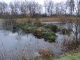 DSC01680 (Small)