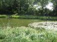 Jeugd visconcours 2013 015 (Small)