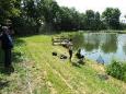 Jeugd visconcours 2013 029 (Small)